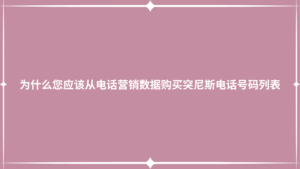 为什么您应该从电话营销数据购买突尼斯电话号码列表